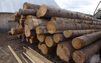 Ель или сосна – какая древесина лучше для строительства?