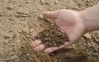 Как определить тип грунта на земельном участке?