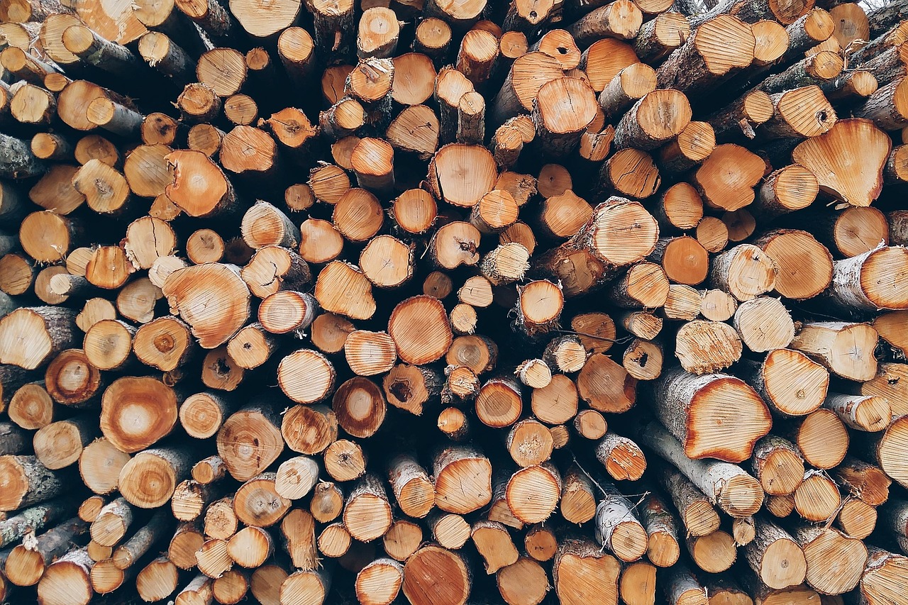 Породы древесины для деревянного дома